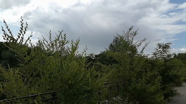 Тот момент, когда хорошо видна способность уживаться вместе природы и цивилизации.