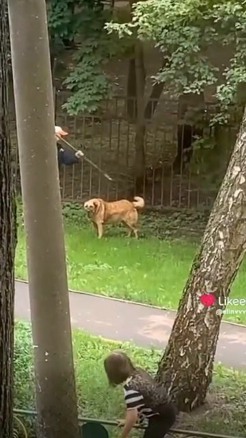 летний вайб