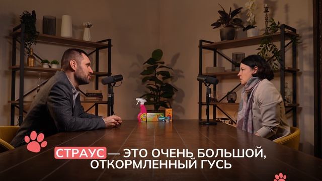 Почему питомцу нужен индивидуальный рацион? Разбираем ошибки в питании | Подкаст Апиценна | Выпуск 7