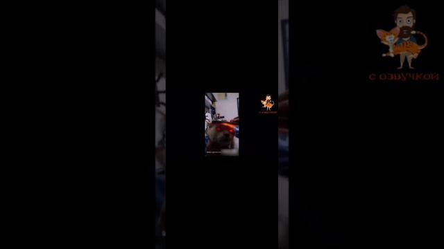 засмеялся😂-проиграл🚫