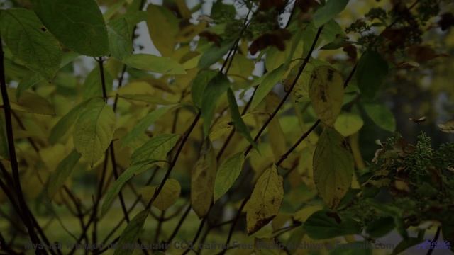 Секрет идеального релакса - здесь! - How Did We Get Here -- Frau Holle -- Different Ways