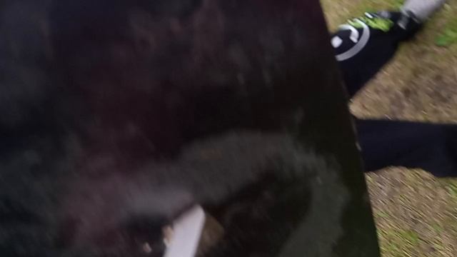 бомжи 2