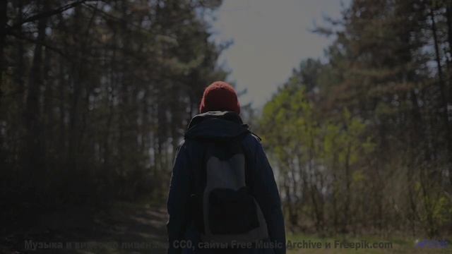 Музыка для симбиоза человека и ИИ - следующий шаг эволюции! - Happy Dance -- Cedric Galke -- Unnamed
