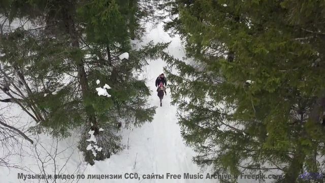 Ты не поймешь, что такое настоящая красота, пока не увидишь это! - Circus Chaos Of Casio (swirly hal