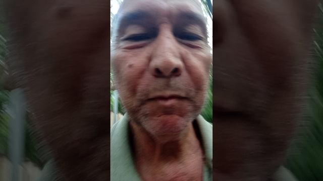 Ставрополь, Пушкин, Элвис Пресли, Гегель, Москва, Моцарт, Битлз и Древние Греки...