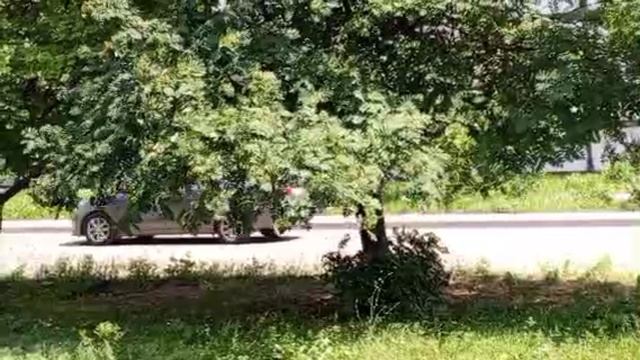 1000008894.mp4