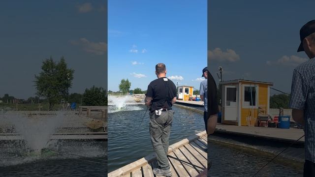 Под фонтаном спряталась 😃