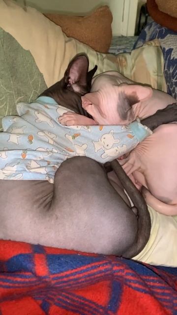 5 декабря 2023 г.