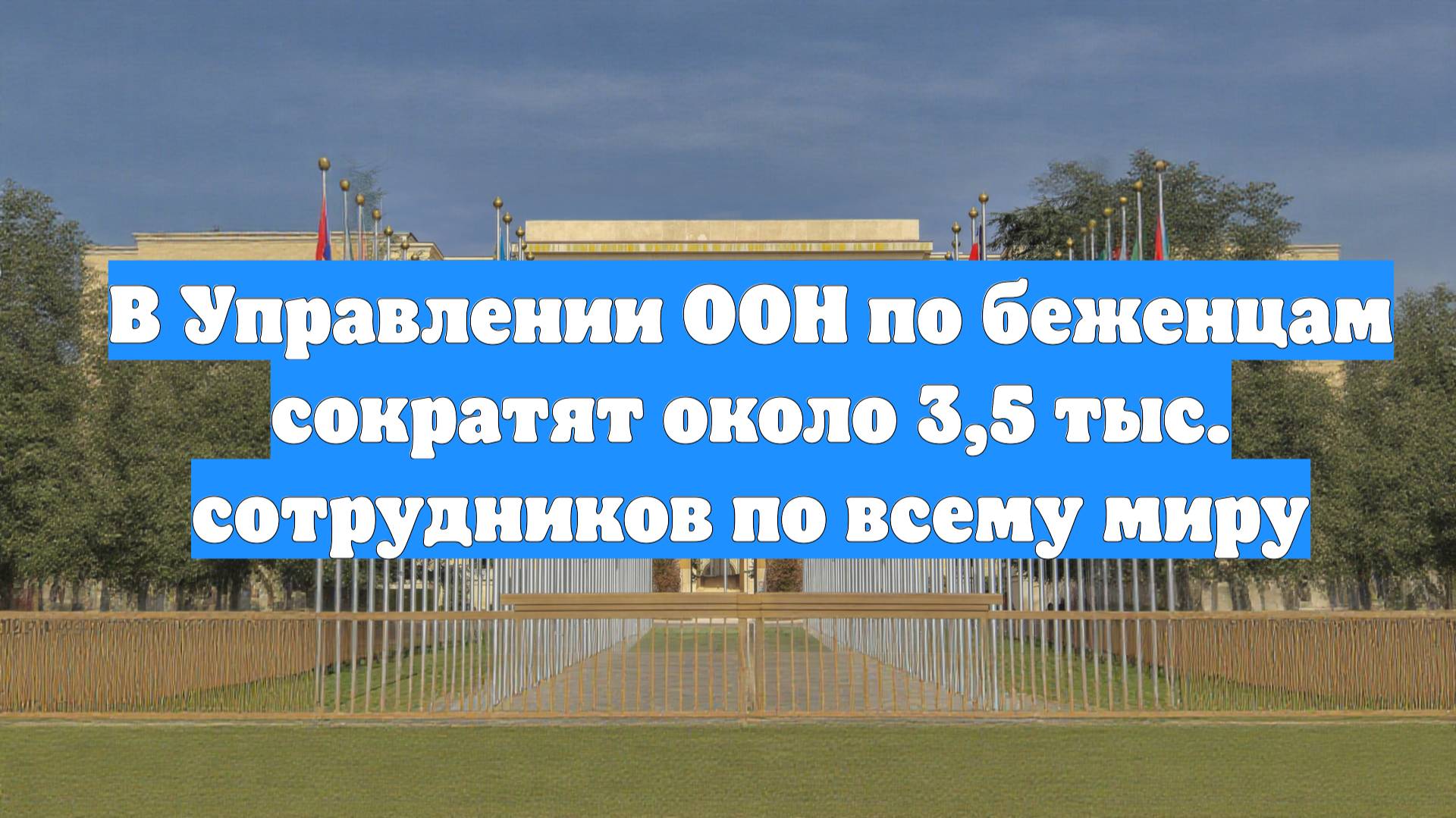 В Управлении ООН по беженцам сократят около 3,5 тыс. сотрудников по всему миру