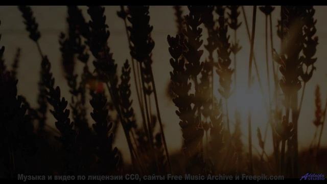 Это видео - как глоток свежего зимнего воздуха! - The DreamTeam -- Tadz -- Soul Symphonies Vol.1