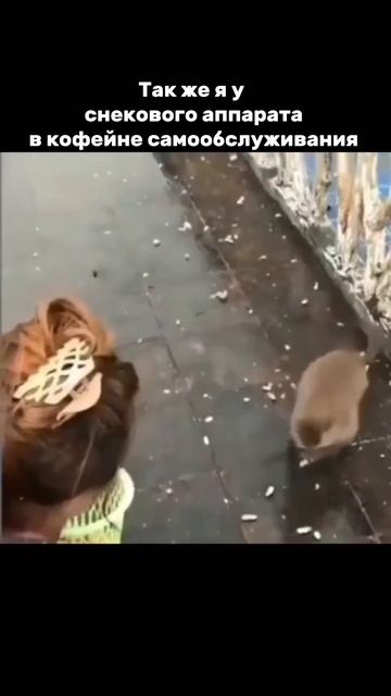 З-зависимость…