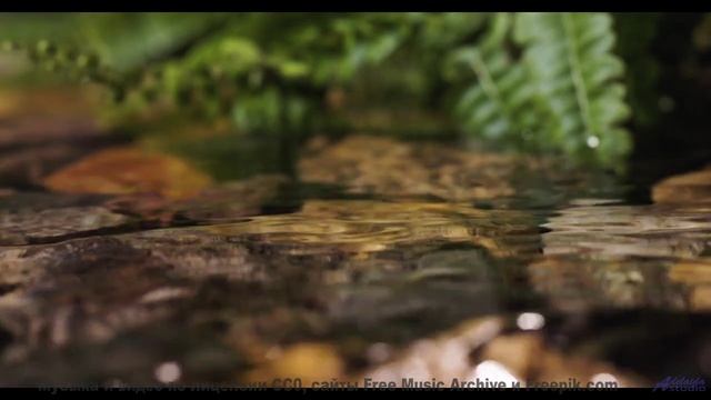 Сердце танцует, а разум отдыхает при этом клипе - Souvenir -- Derek Clegg -- Old Town Worry