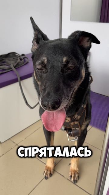 Я снова здесь 😱