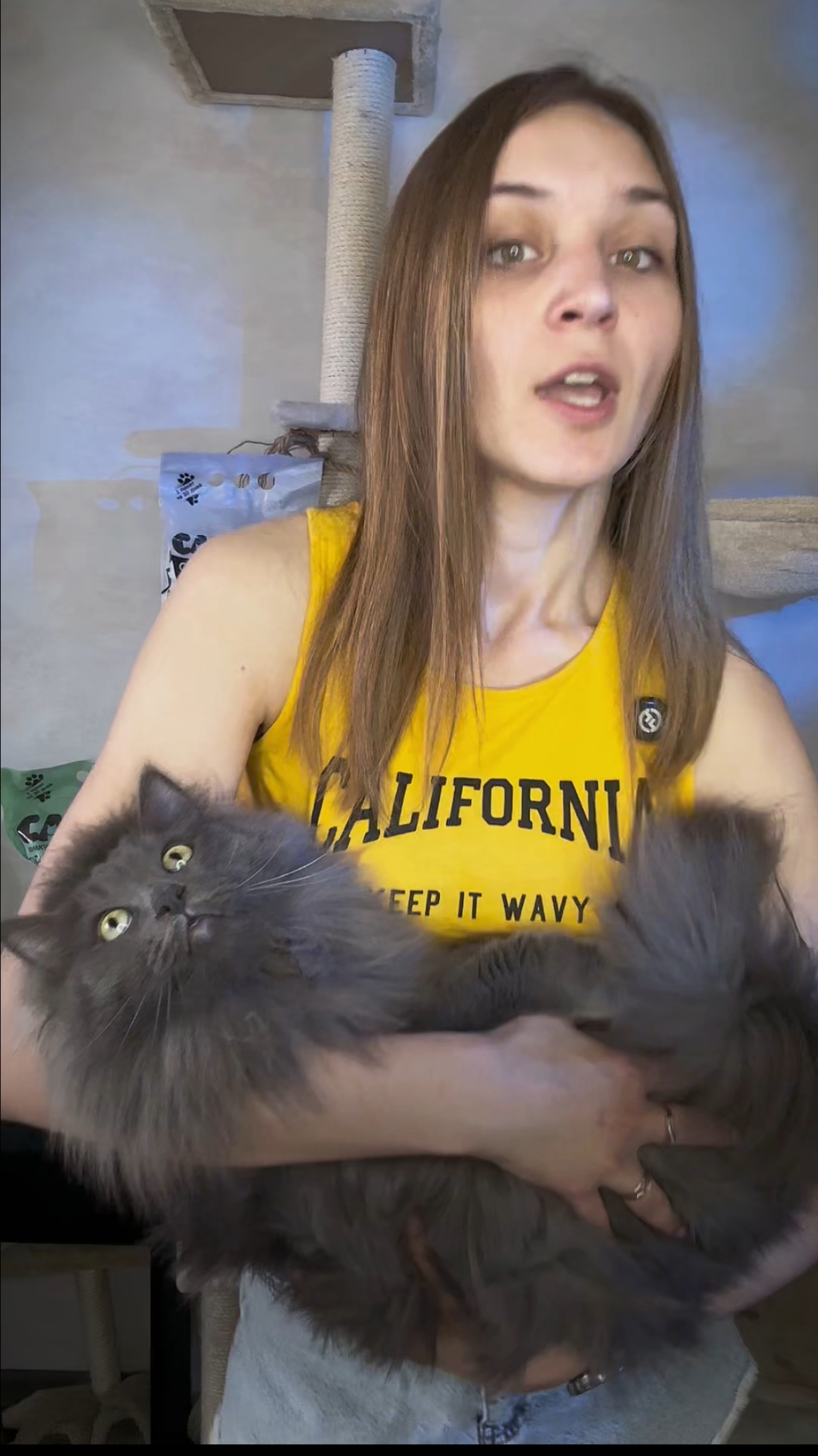 КОТИКУ МОЖЕТ БЫТЬ ПЛОХО😞