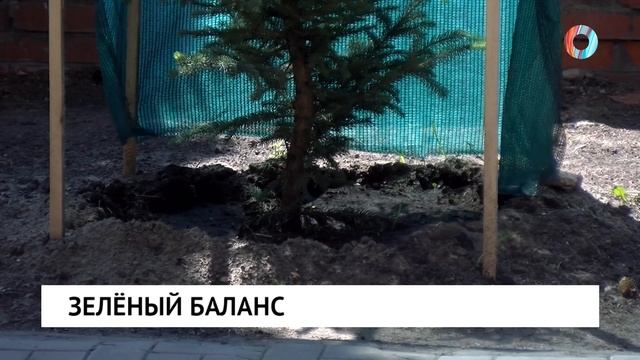 Зелёный баланс