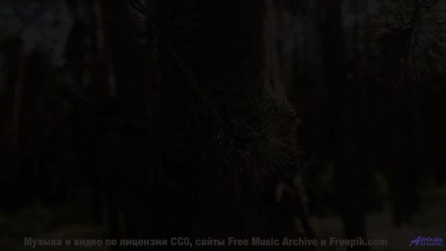 Этот трек ВЫЗЫВАЕТ зависимость! - Young Lovers -- Mise Darling -- Unnamed album