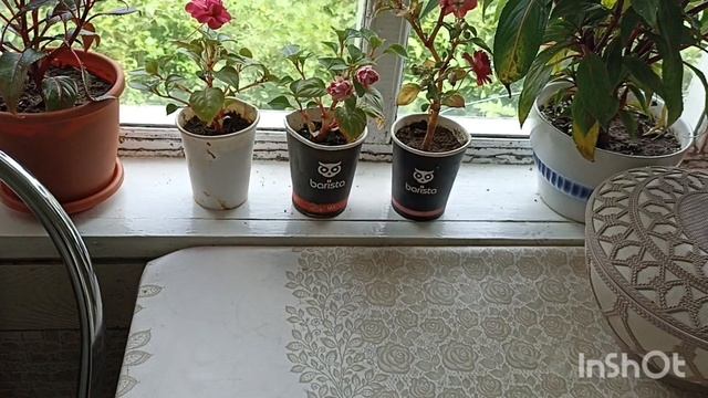 Готовлю обед , котлеты с кашей.