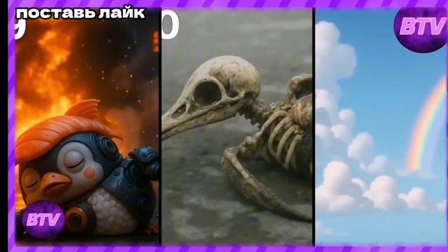 Жизнь сгма