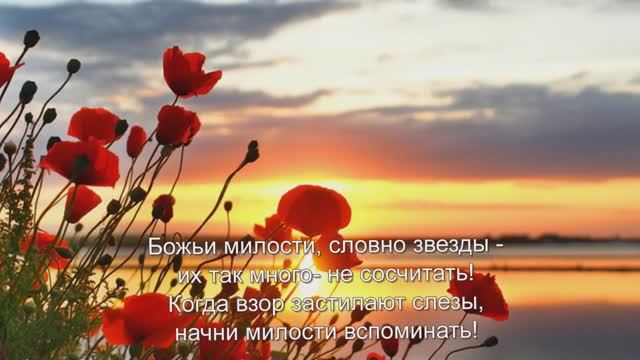 "Божьи милости, словно звезды..." Стих, Шинкарева Светлана