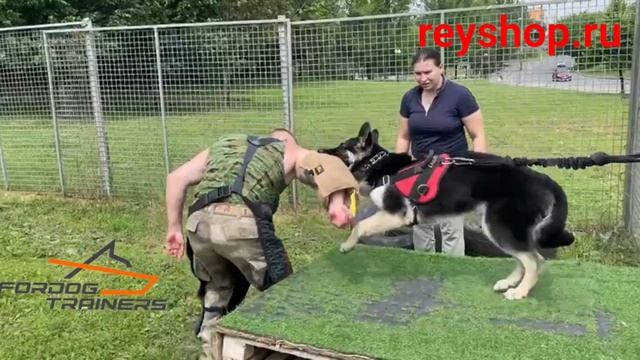 Рукав мини для щенков из джута PS0J