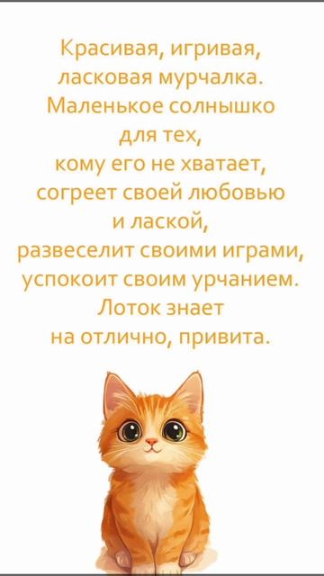 Малышка Шани 2,5 месяца, ищет семью. 🏡 🐈