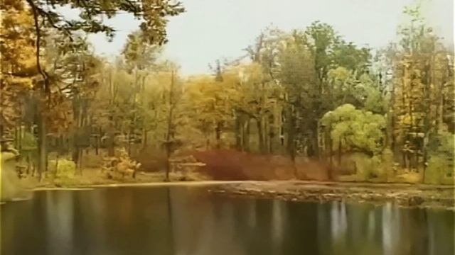песня  - Берёзка