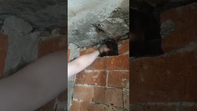 Ремонт квартир. Замена канализации