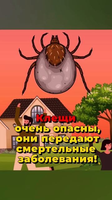 Клещи уже в конце марта начали атаковать людей и животных. Пора проводить обработку. Dez-delo.ru