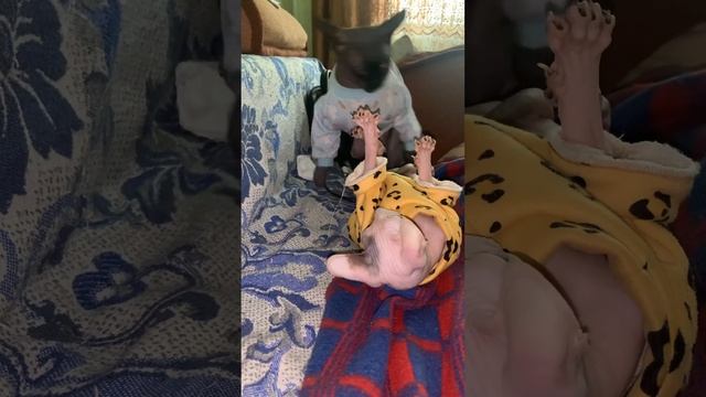 7 декабря 2023 г.