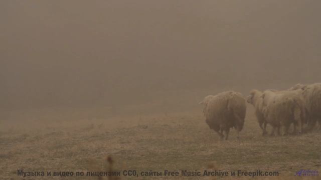Музыка уносит туда, где хочется остаться навсегда - 4-les corbeaux de westminster -- Bonne Humeur Pr