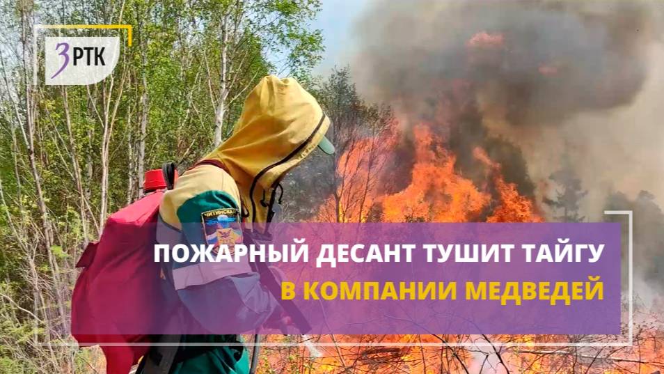 Пожарный десант тушит тайгу в компании медведей