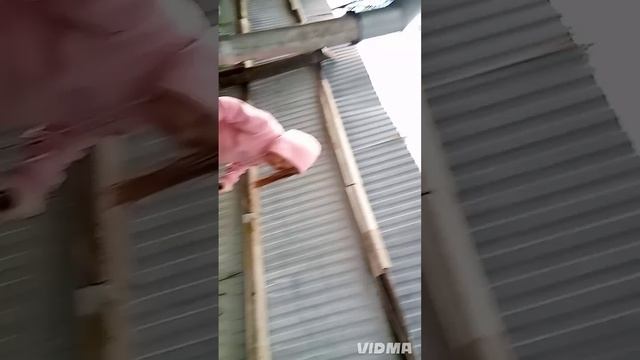 типичные лп 2 серия 2 сезона