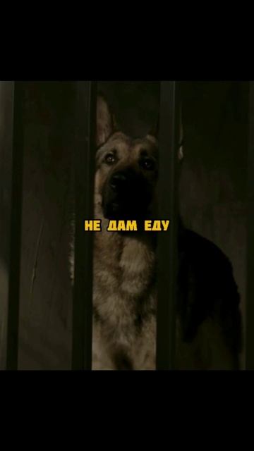 Название фильма Меган Ливи (2017)