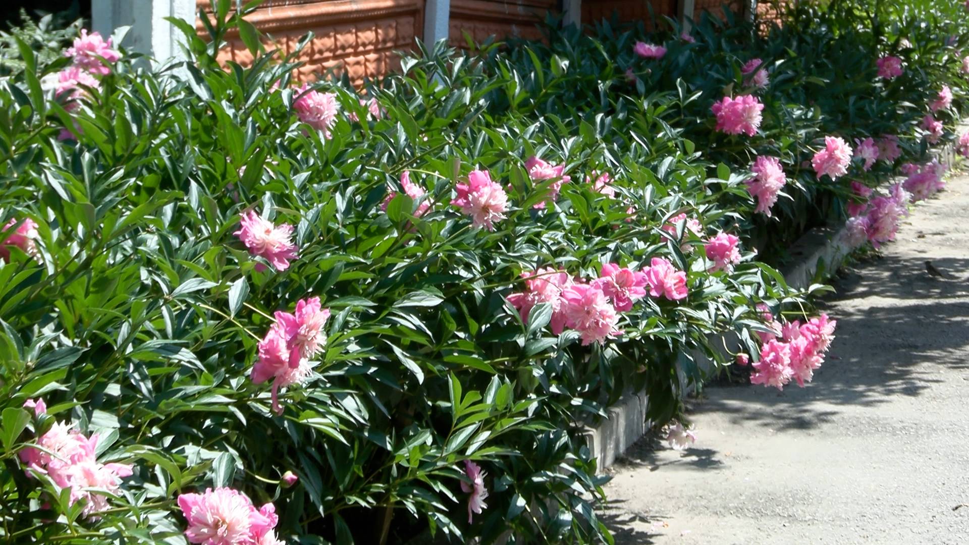 НЕ ОПЯТЬ, А СНОВА