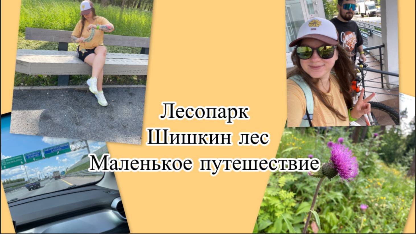 Маленькое путешествие. Лесопарк Шишкин лес. Парки Подмосковья.