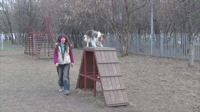 Лета 22апр2019 1пл