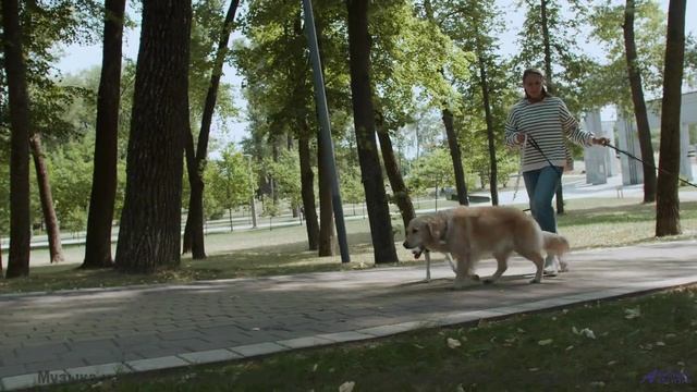 Эта дорога ведёт к месту, где начинается ваша история! - Mellow Lo-Fi -- Scott Holmes Music -- Media