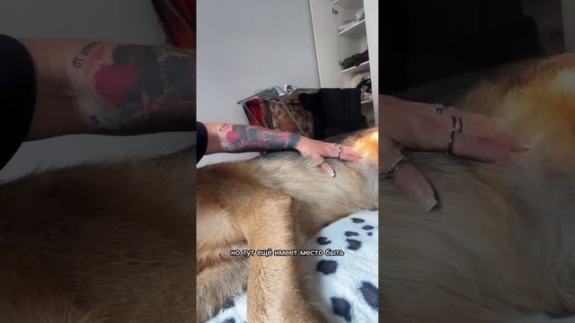 Че каво куда …