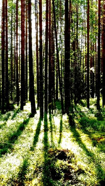 Неожиданные кадры жизни