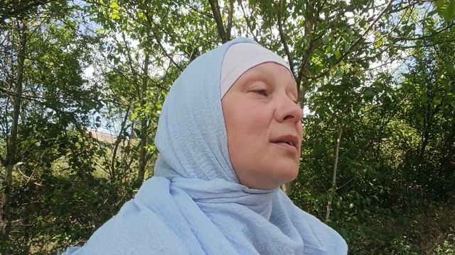 "Не умирают от плевков на спину..."
