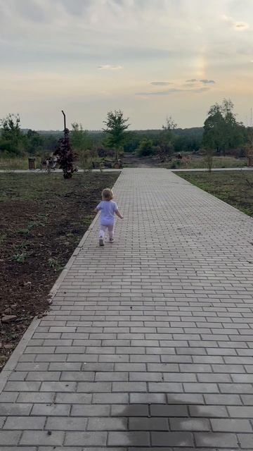 Хороший вечер