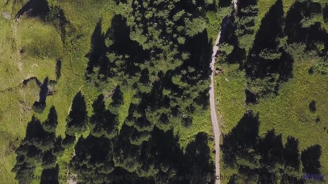 Это не просто видео - это шедевр, который трогает душу! - Arboreal Highways (Internet Rock - Echinoc