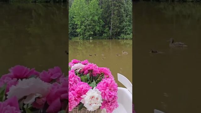 Все чудеса вокруг нас