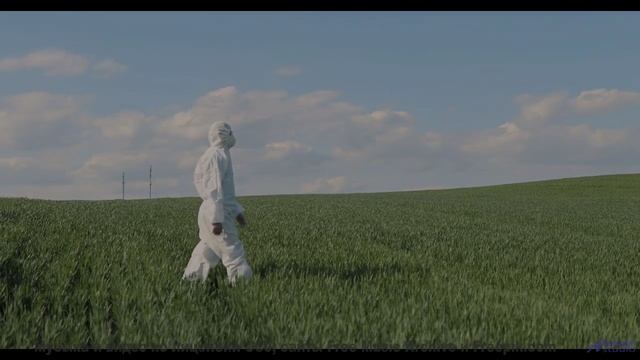Музыка превращает каждый кадр в живую открытку - Hot Sand -- Independent Music Licensing Collective