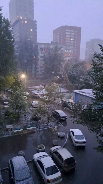 Погодка жизни моей