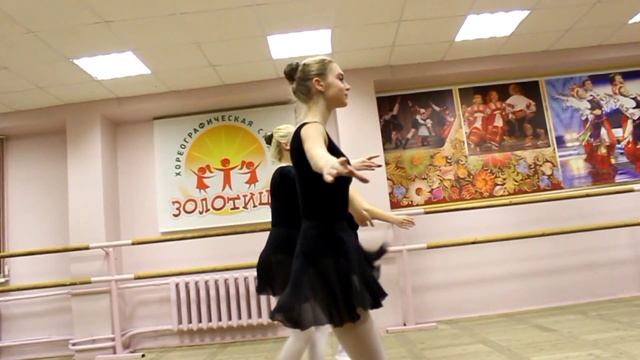 Золотица