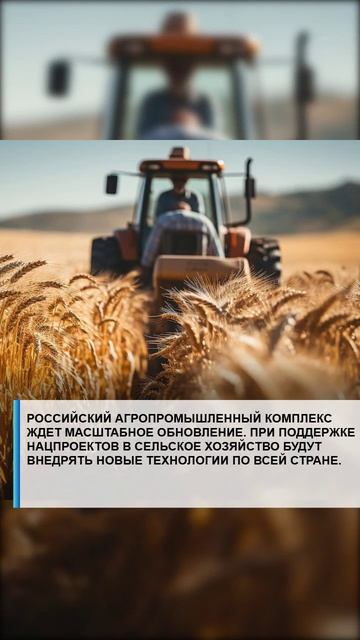 #семья #арктика #сво2025 #россия2025 #лаборатория #экономика #валберес #господдержка #путин #наука