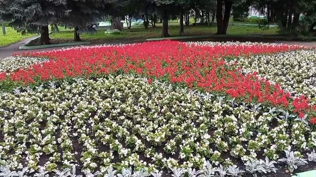 Мой город Переславль-Залесский.Лето 2025 года. (16 июня 2025 года)