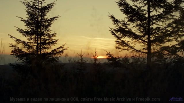 Трек, который звучит лучше на природе - Oopsy Daisy -- Forget the Whale -- You. Me. Talk. Now.