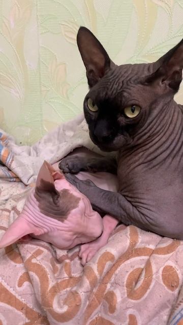 28 июня 2024 г.